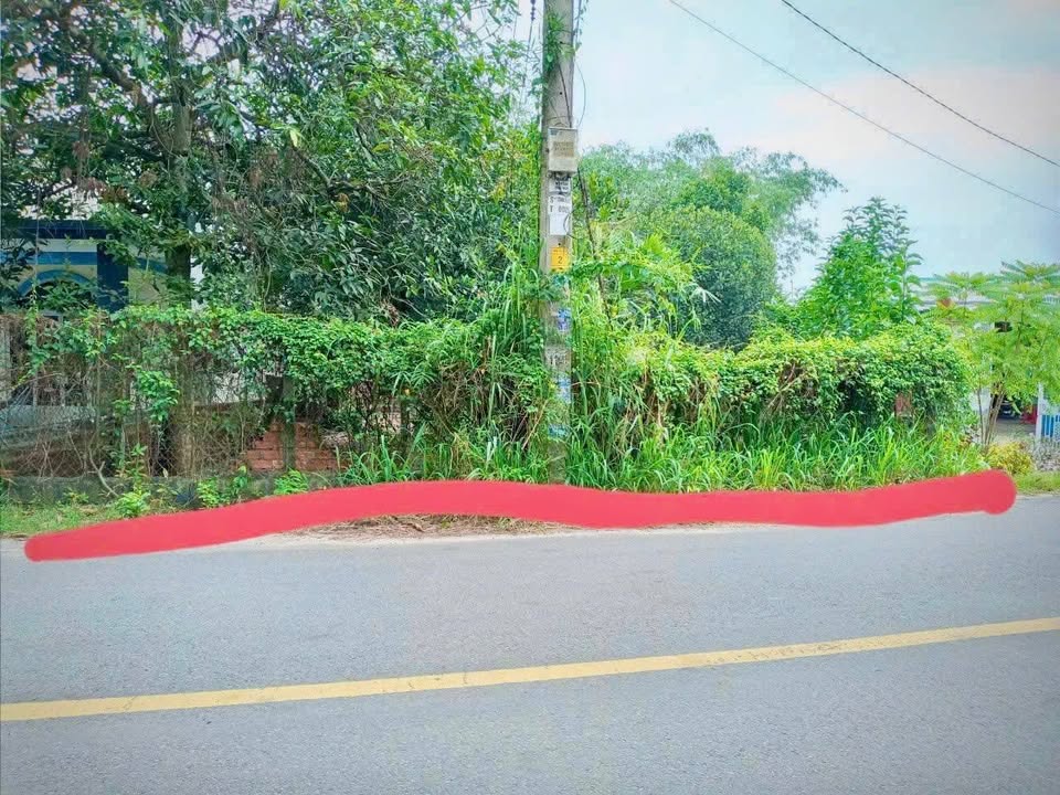 Đất Nền Mặt Tiền Đường Nhựa Nhuận Đức, Củ Chi 400m² giá 4.4 tỷ - Đầu Tư Lợi Nhuận Cao!