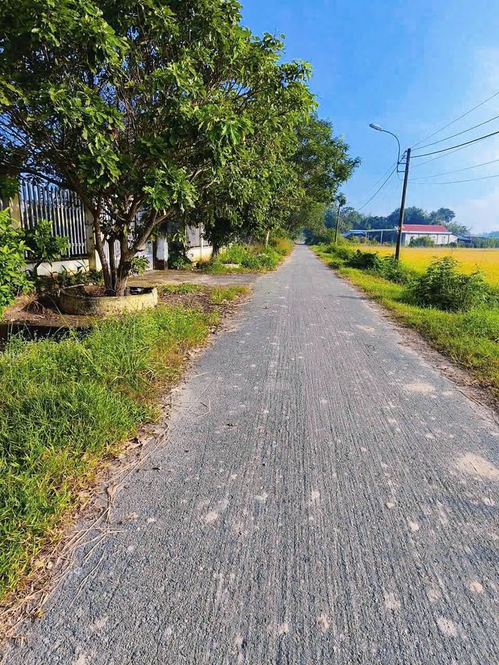 Đất nông nghiệp 2287m² Thái Mỹ, Củ Chi - Giá chỉ 1.487 tỷ