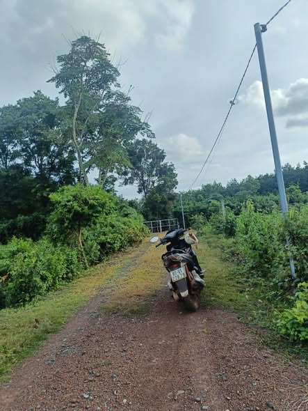 Đất nền xã Minh Tâm 1300m² giá 199 triệu - Cơ hội đầu tư tốt!