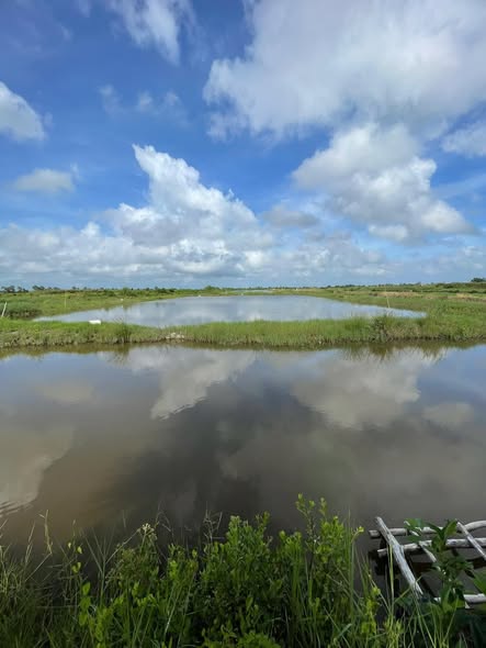 Đất nền 26 công tầm lớn tại An Minh Bắc, Kiên Giang giá 3.014 tỷ - Mặt tiền rộng, sẵn sàng xây dựng!