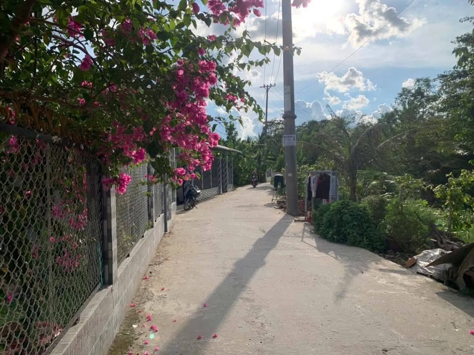 Đất nền Long Tuyền 1.174m² giá 3.9 tỷ - Gần sân bay Cần Thơ, thích hợp xây nhà vườn!