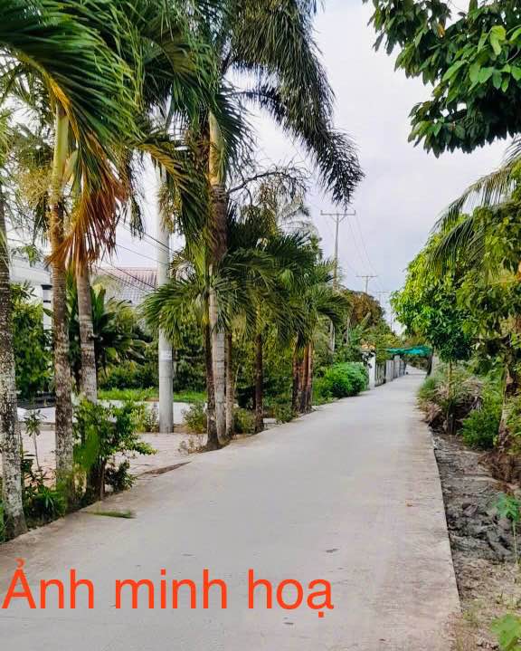 Đất nền 162m² Nhơn Ái, Phong Điền chỉ 599 triệu - Cơ hội đầu tư sinh lời!