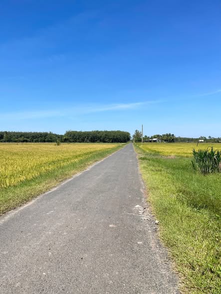 Đất nền DMC Tây Ninh 145m² giá thỏa thuận - Sổ đỏ chính chủ