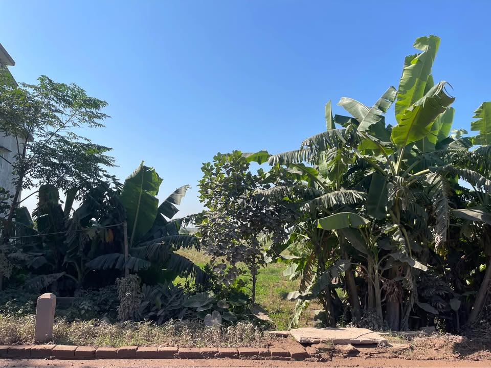 Đất nền 100m² cổng khu CN VSIP Thái Thụy - Giá 2.4 tỷ, vị trí đắc địa!