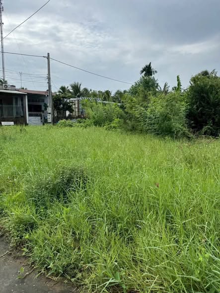 Đất nền 140m² phường 4, TX Cai Lậy, giá 1.05 tỷ - Đầu tư sinh lời ngay!