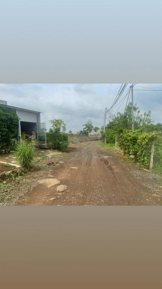 Đất nền 1 sào mặt tiền đường Nguyễn Hoàng, Trảng Bom - Giá chỉ 1 tỷ - Đầu tư ngay!