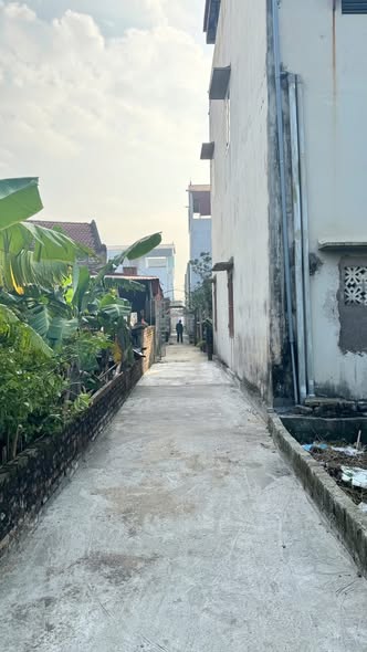 Đất nền Thôn Vĩnh Lộc, Thư Phú 53.5m² giá 2.2 tỷ - Đầu tư sinh lời dễ dàng!