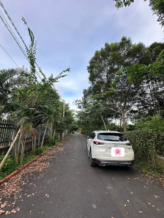 Bán vườn 1.000m² tại Long Phước, Bà Rịa - 3.99 tỷ - Sổ hồng chính chủ!