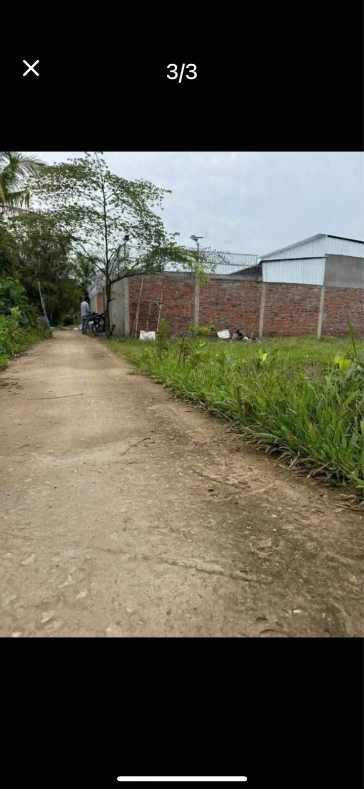 Đất vườn Long Phước 538m² giá 739 triệu - Tiềm năng đầu tư cao!