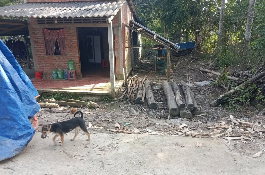 Đất nền xã Cái Nhum, Vĩnh Long 457.2m² giá 320 triệu - Cơ hội đầu tư hiếm có!