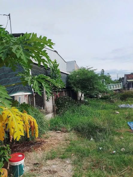 Đất nền Phường Nguyễn Nghiêm, Đức Phổ 114m² giá 800 triệu - Cơ hội đầu tư hiếm có!