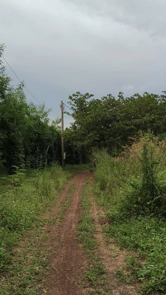 Đất nền Lộc Hiệp 600m² giá 650 triệu - Cơ hội đầu tư tiềm năng!