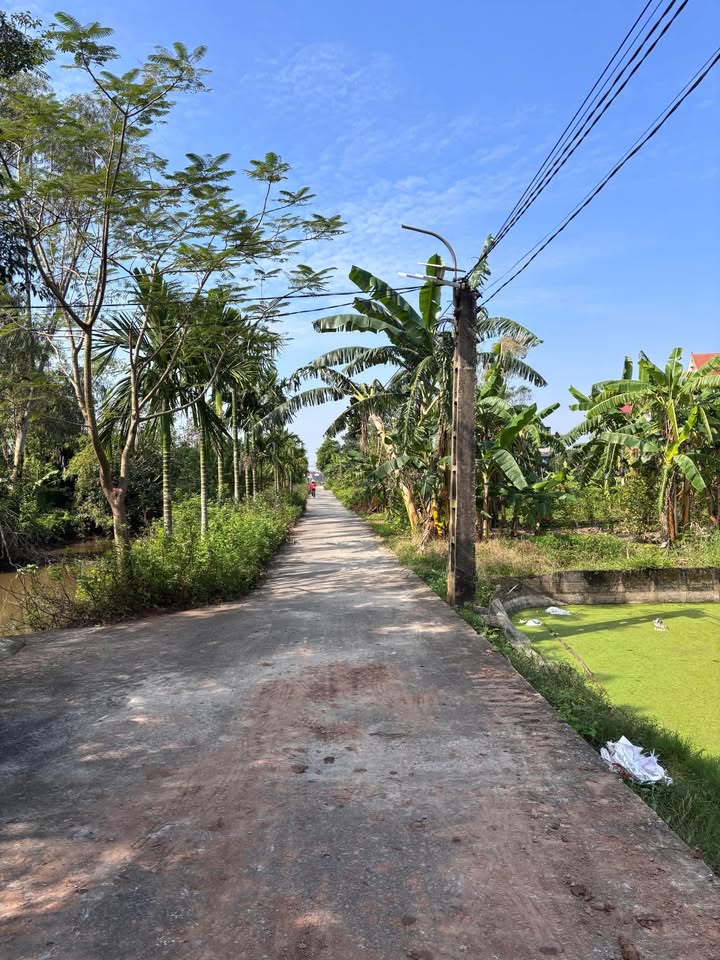 Đất nền Vũ Đoài Vũ Thư 95m² giá 700 triệu - Đường ô tô thông thoáng!