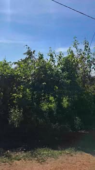 Đất nền thổ cư Ia Hrung 500m² giá từ 200 triệu - Cơ hội đầu tư tuyệt vời!