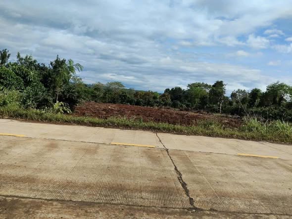 Đất nền Quốc lộ 29, Ea Drông 1200m² giá chỉ 1.2 tỷ - Cơ hội vàng cho nhà đầu tư!