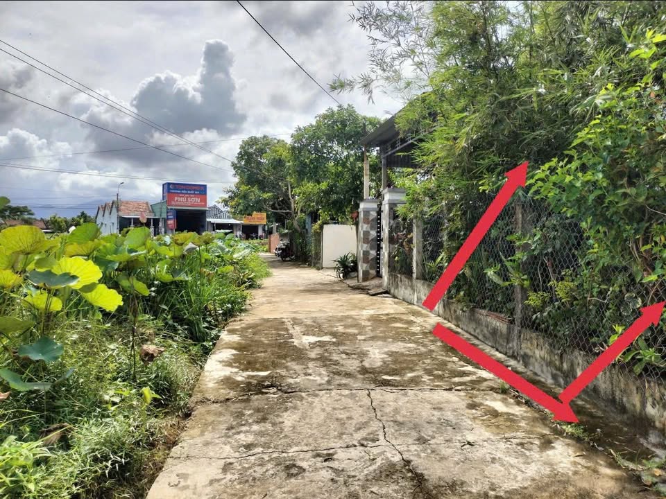 Đất nền Hòa Mỹ Đông, Tây Hòa 145m² giá 700 triệu - Hướng Nam mát mẻ!