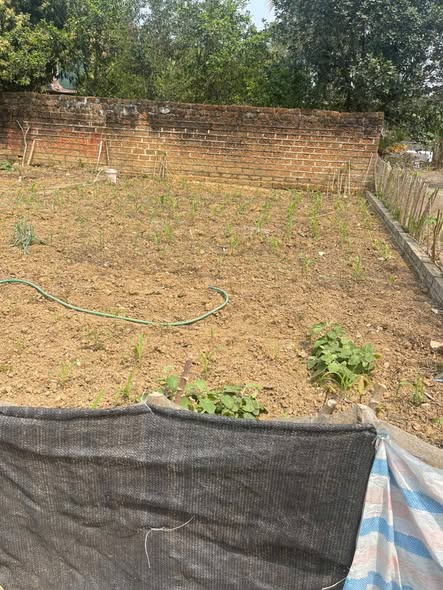 Căn hộ Tân Xã 82m² giá thỏa thuận - Cơ hội đầu tư xây trọ tuyệt vời!