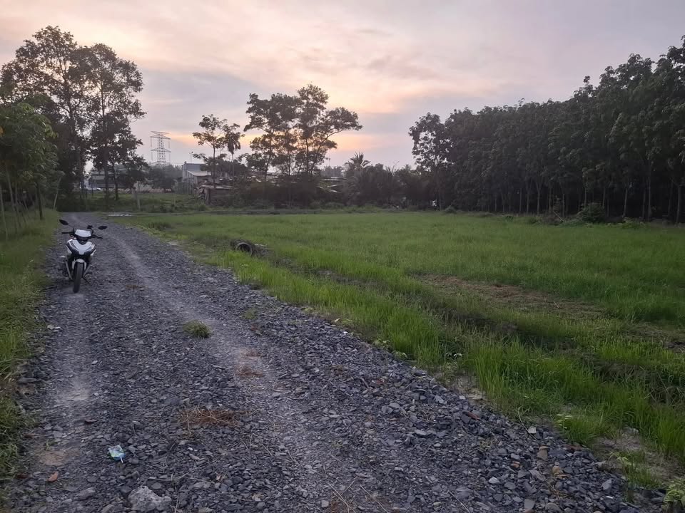 Đất vườn 500m² tại Lộc Khê, Tây Ninh chỉ 580 triệu - Giá tốt hiếm có!