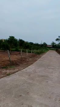 Đất ở Lý Trạch, Bố Trạch 120m² giá chỉ 5xx triệu - Cơ hội đầu tư vàng!