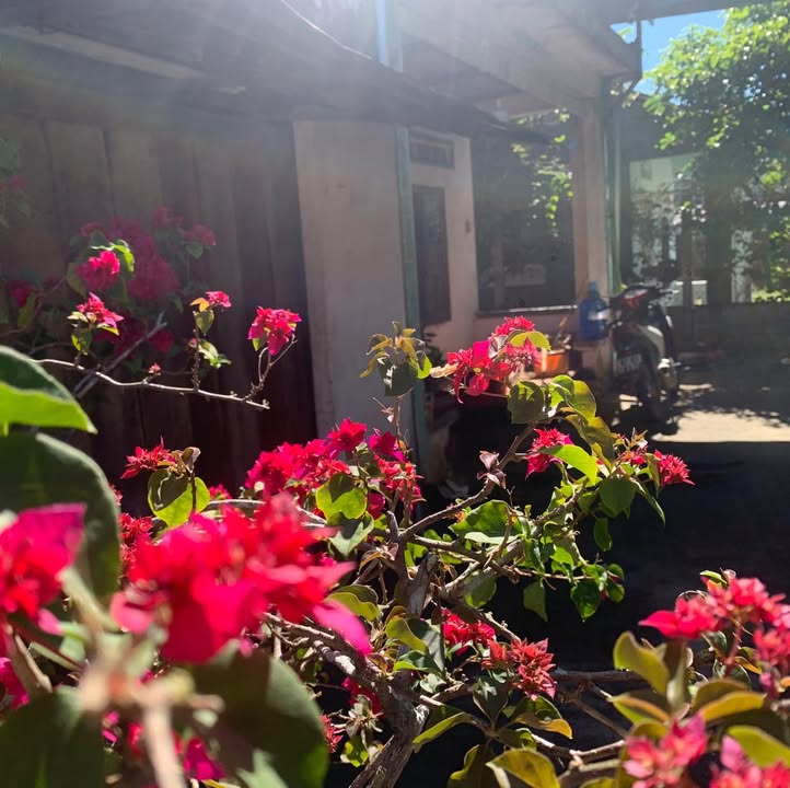 Đất Thổ Cư Thôn 1 - Xã Hòa Bình, TP. Kon Tum 500m² giá 1 tỷ - Đầu tư sinh lời ngay!