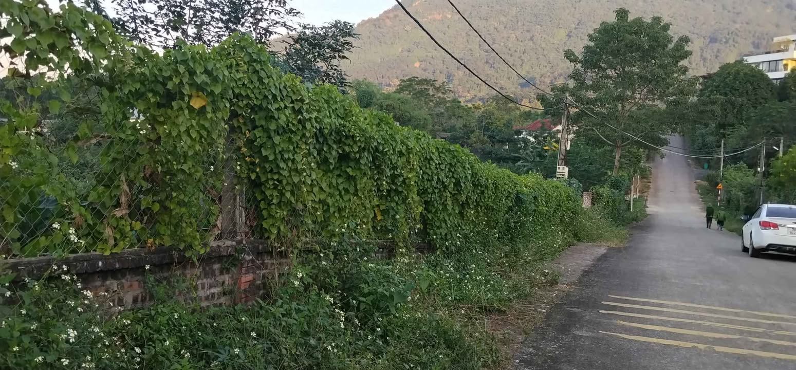 Đất nền 2250m² Thôn Dy Minh Quang Ba Vì giá 7.069 tỷ - View đẹp, thích hợp làm nhà vườn nghỉ dưỡng!