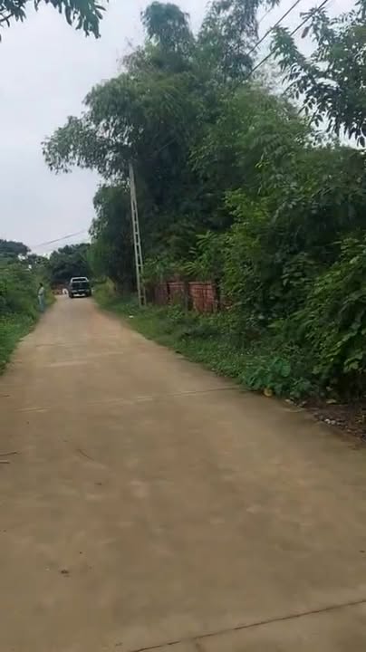 Đất nền xã Yên Bài, Ba Vì 3000m² giá thỏa thuận - Tiềm năng sinh lời cao!