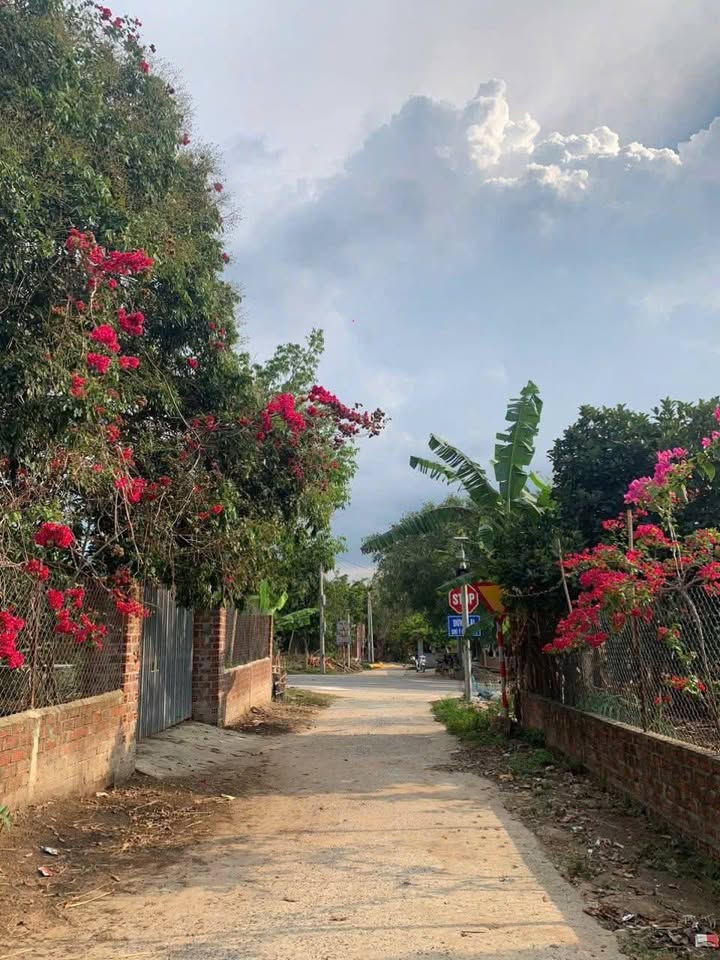 Đất thổ cư thôn 5, xã Đăk Cấm, TP Kon Tum 204m² - Giá chỉ 300 triệu!