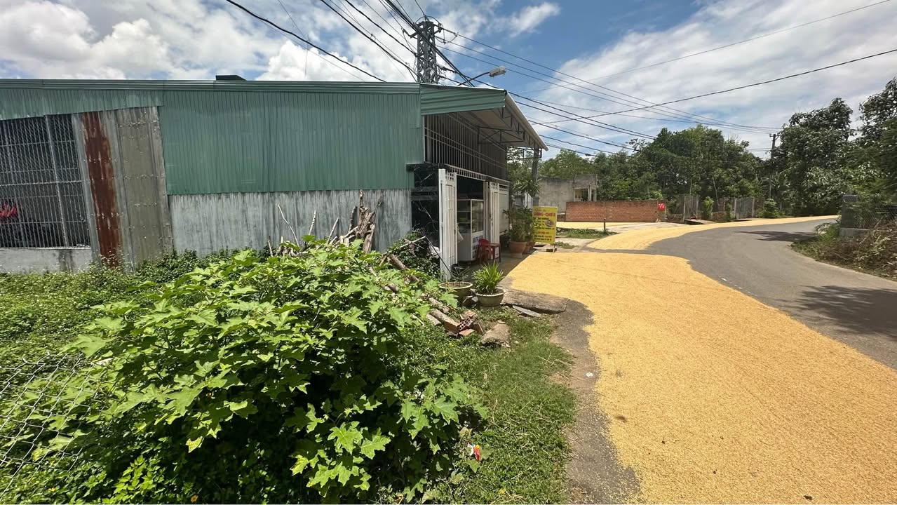 Đất thổ cư đường Đặng Tiến Đông, phường Lê Lợi, Kon Tum 234m² - Giá chỉ 1.5 tỷ VND!