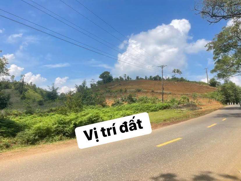 Đất nền liền kề Quốc lộ 24, xã Hiếu, Kon Plông - Kinh doanh thuận lợi chỉ 500 triệu