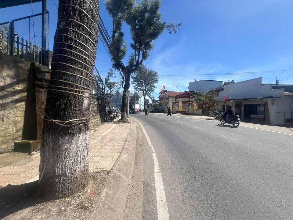 Nhà cho thuê 2 tầng Trần Phú Đà Lạt - Kinh doanh và ở ngay