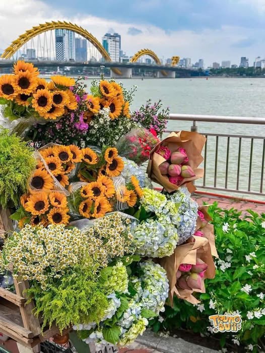 Căn hộ An Dương Vương 99m² giá 1.1 tỷ - Hướng Tây, cơ hội đầu tư lý tưởng!