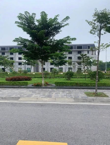 Biệt thự Âu Cơ Park City Phú Thọ 240m² giá 6 tỷ - View công viên xanh mát!