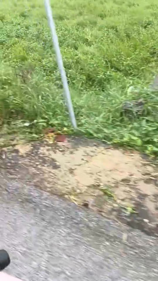 Đất nền Thạch Châu 100m² giá 1.3 tỷ - Cơ hội đầu tư vàng!