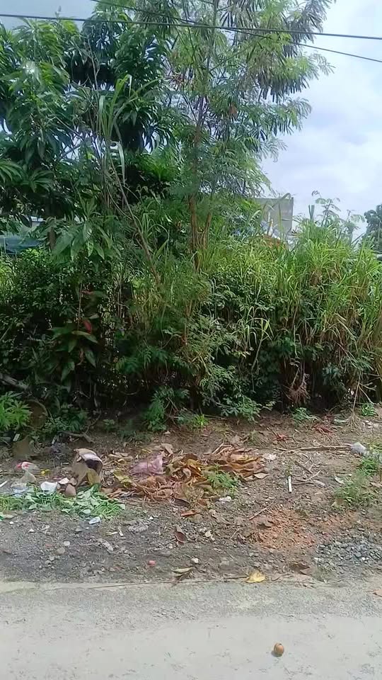 Đất nền Điện Hòa 110m² giá 1.2 tỷ - Mặt tiền đường DH3, chính chủ!