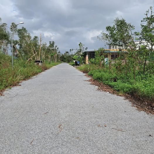 Đất nền lối 2 đường Lê Văn Miến, phường Nghi Hương, 195,5m² - Góc 2 mặt tiền, cơ hội đầu tư lớn!