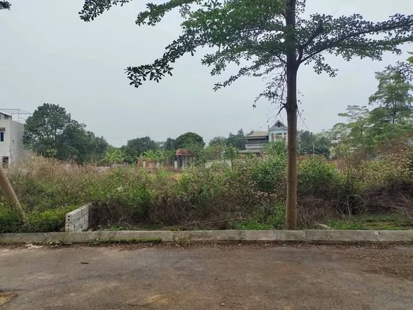 Đất nền Hạ Bằng 72,3m² giá tốt - Cơ hội đầu tư vàng!