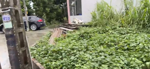 Đất nền lô góc 83m² đường Phượng Trì, Văn Giang - Gần ĐH Bách Khoa