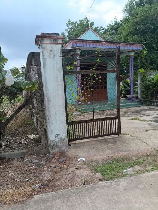 Nhà cấp 4 Minh Tân Dầu Tiếng 1 triệu/tháng - Cơ hội thuê lý tưởng!