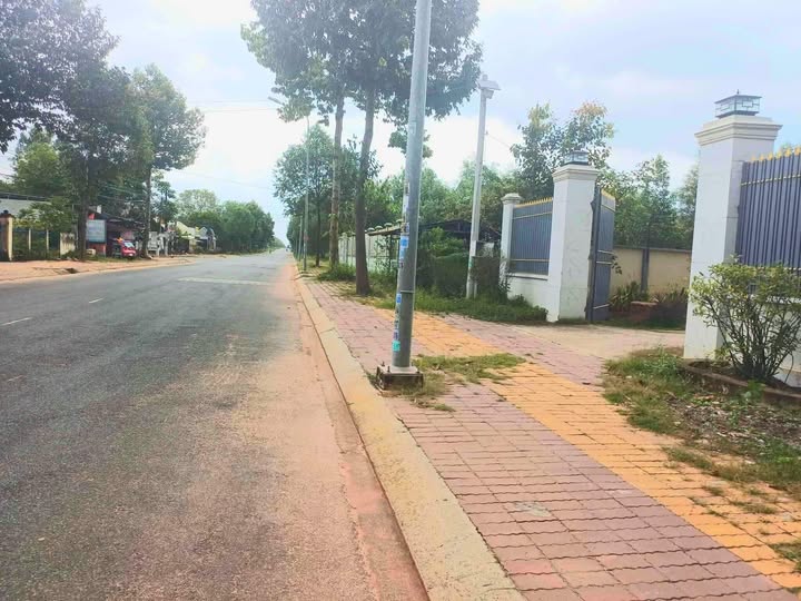 Đất nền Dầu Tiếng Bình Dương 222m² giá 1.1 tỷ - Mặt tiền đường Lê Hồng Phong