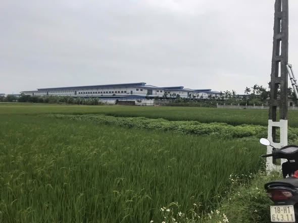 Đất thổ cư xã Hải Tân 333m² giá 2 tỷ - Đường thông thoáng, gần chợ