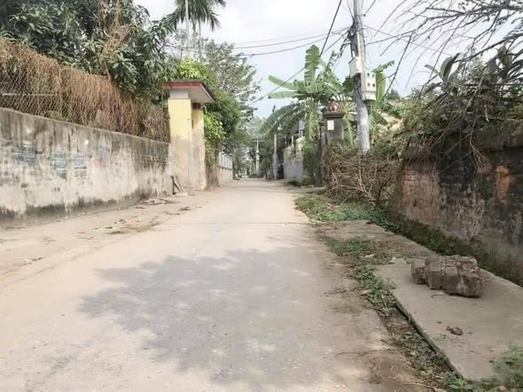 Đất thổ cư 150m² đường rộng 5m tại Quán Trạch, Văn Giang - Cơ hội đầu tư tuyệt vời!