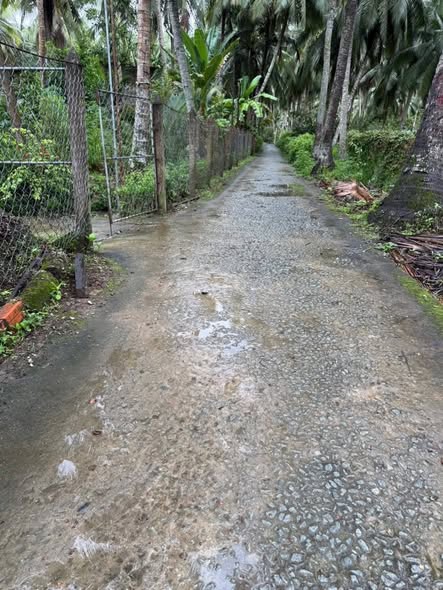 Đất thổ cư Cẩm Sơn, Mỏ Cày Nam 47000m² giá 1.88 tỷ - Đầu tư sinh lời ngay!