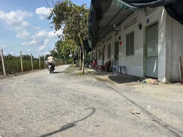 Bán dãy nhà trọ tại Long Thới, Chợ Lách 2000m² - Đang cho thuê full phòng!