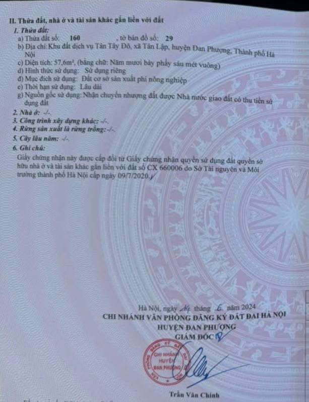 Đất dịch vụ Tân Tây Đô, Đan Phượng, Hà Nội 57.6m² - Đầu tư sinh lời hấp dẫn!