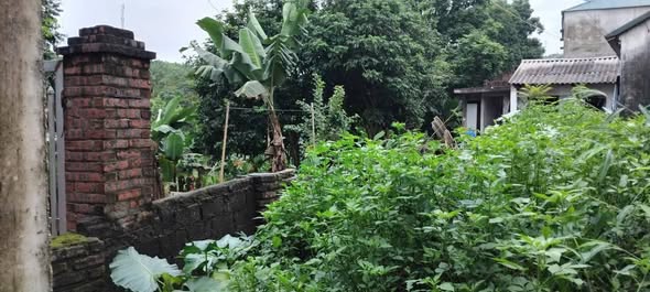 Đất thổ cư 150m² tại Hoà Sơn, Lương Sơn giá chỉ 1 tỷ - Sổ đỏ chính chủ!