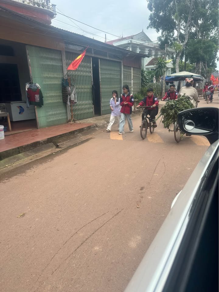 Đất nền Bảo Đài Lục Nam 275m² giá 500 triệu - Không gian sống lý tưởng chờ bạn!