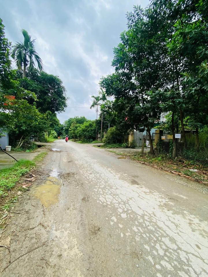 Đất nền Xóm 9, xã Trung Môn, huyện Yên Sơn, Tuyên Quang - Gần đại học Tân Trào chỉ 2 tỷ!