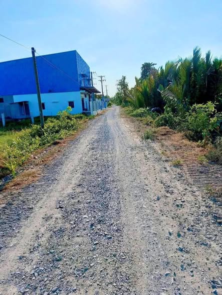 Đất nền 4800m² An Thạnh, Bến Lức chỉ 9 tỷ - Đầu tư sinh lời ngay!