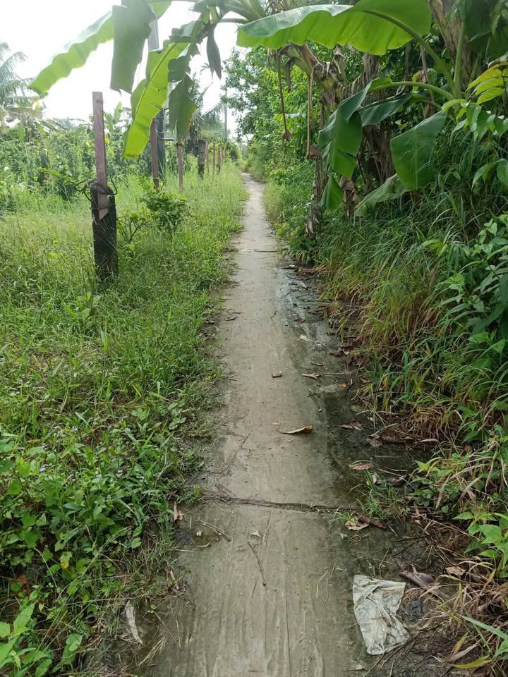 Đất nền Cái Nhum 1.288m² giá 1.8 tỷ - Pháp lý rõ ràng, cơ hội đầu tư tuyệt vời!