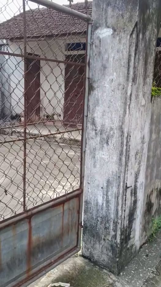 Đất chính chủ Yên Trị - Ý Yên 185m² giá thỏa thuận - Đầu tư sinh lời ngay!